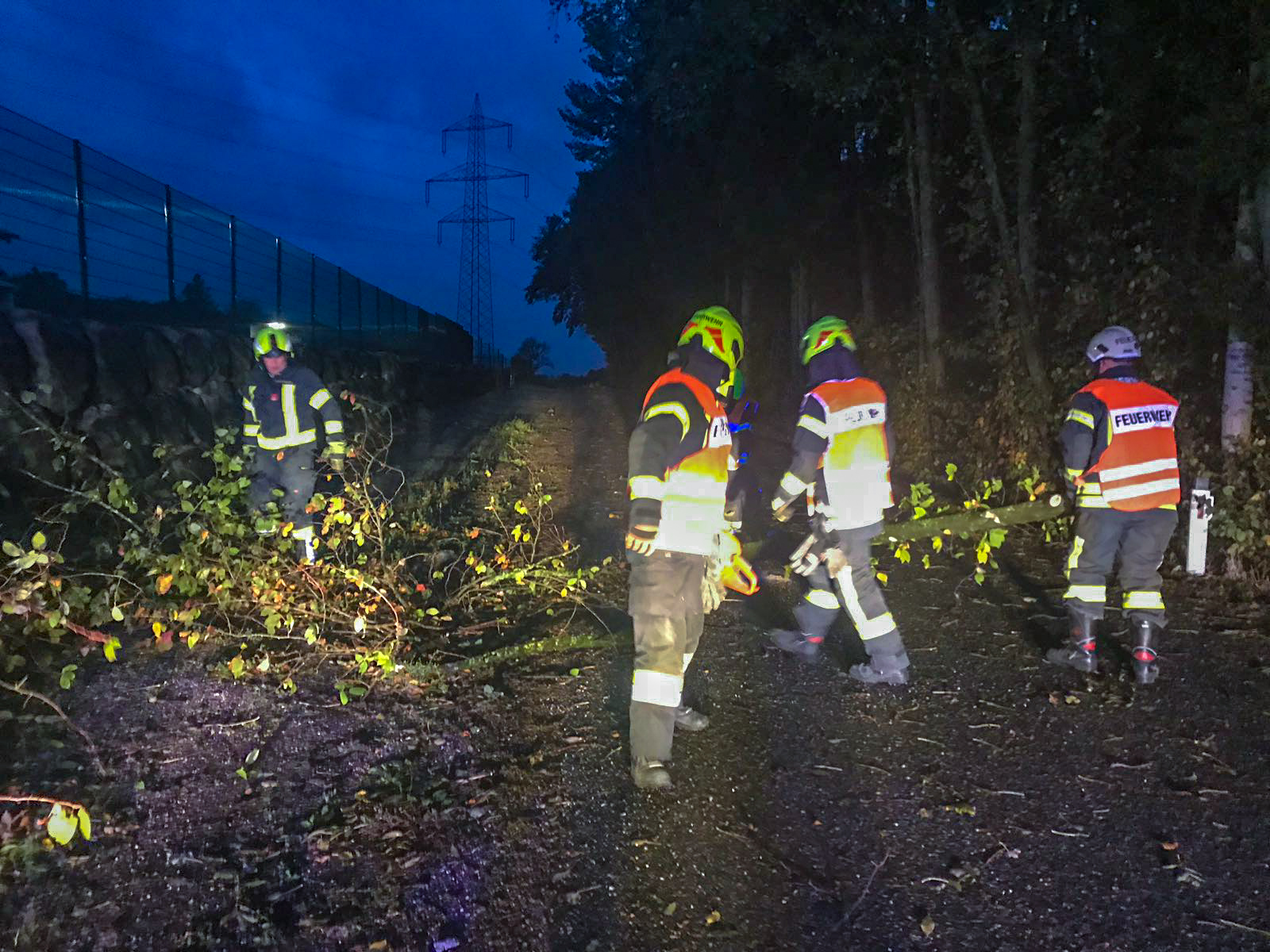 Sturmschaden: Baum über Straße