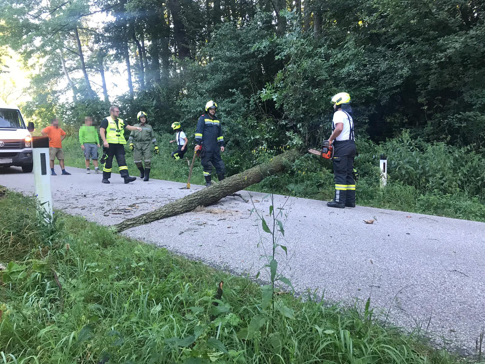 Baum über Straße